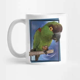 The maroon-fronted parrot Mug